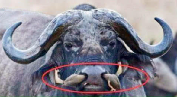 58ae2673abc46a58b2a2b9e9559125c2.png 58ae2673abc46a58b2a2b9e9559125c2.png