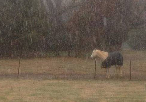 a81fab4300a6397f36c424704b2a2852.png a81fab4300a6397f36c424704b2a2852.png